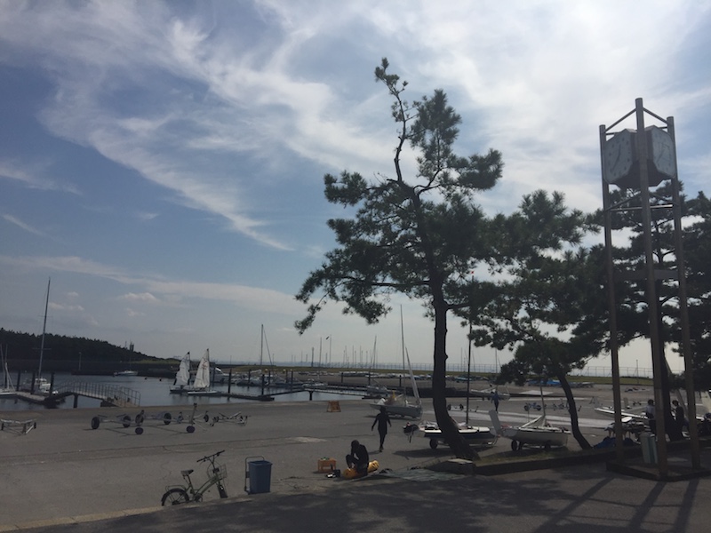 花見川サイクリングロード〜稲毛海浜公園LSDランニング練習会