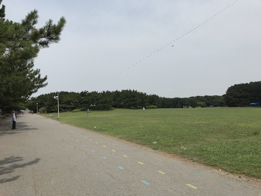 稲毛海浜公園〜マリンスタジアム20kmLSDランニング練習会