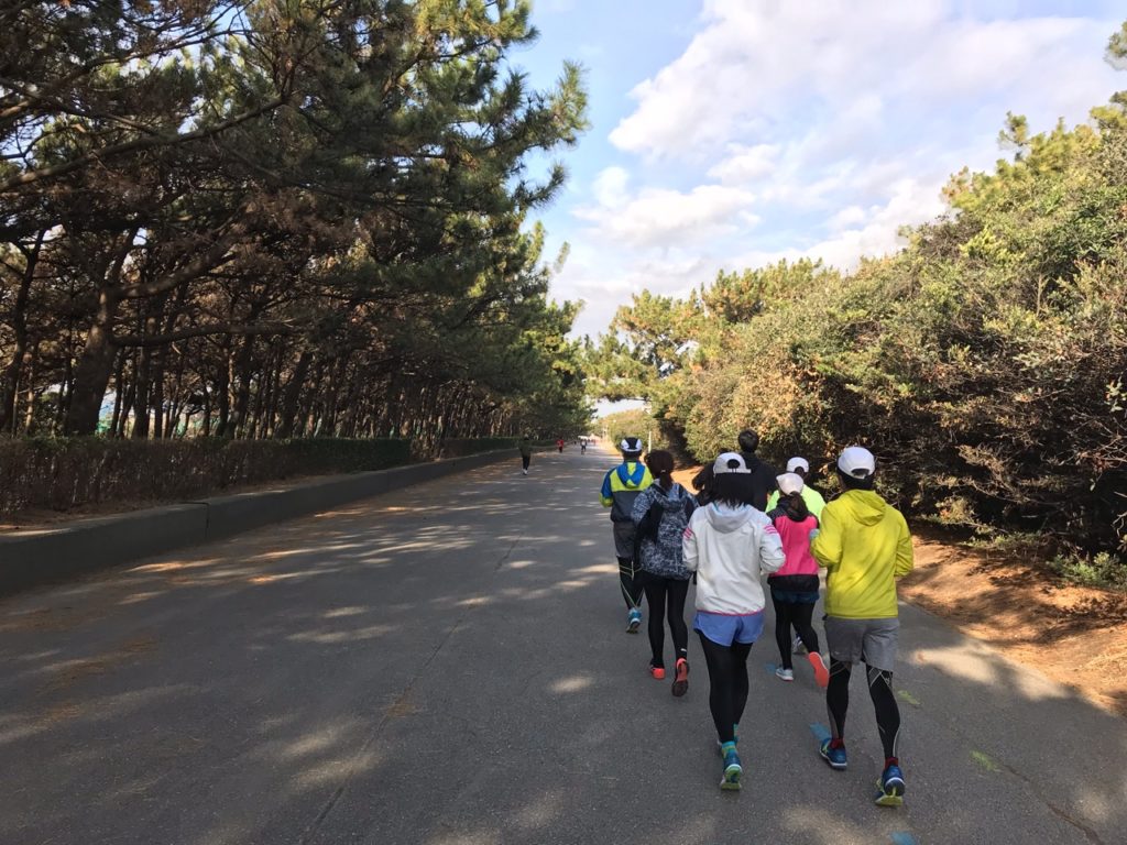 稲毛海浜公園〜花見川沿いLSD20kmランニング練習会
