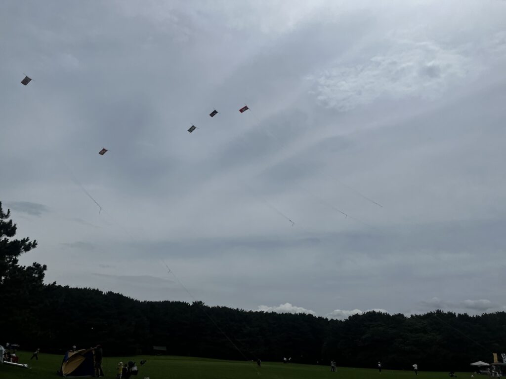 幕張ベイ・ランニングクラブ稲毛ヨットハーバー〜稲毛海浜公園ランニング練習会