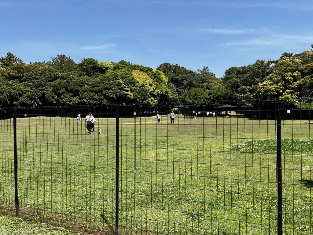 稲毛ヨットハーバー〜稲毛海浜公園20kmランニング練習会