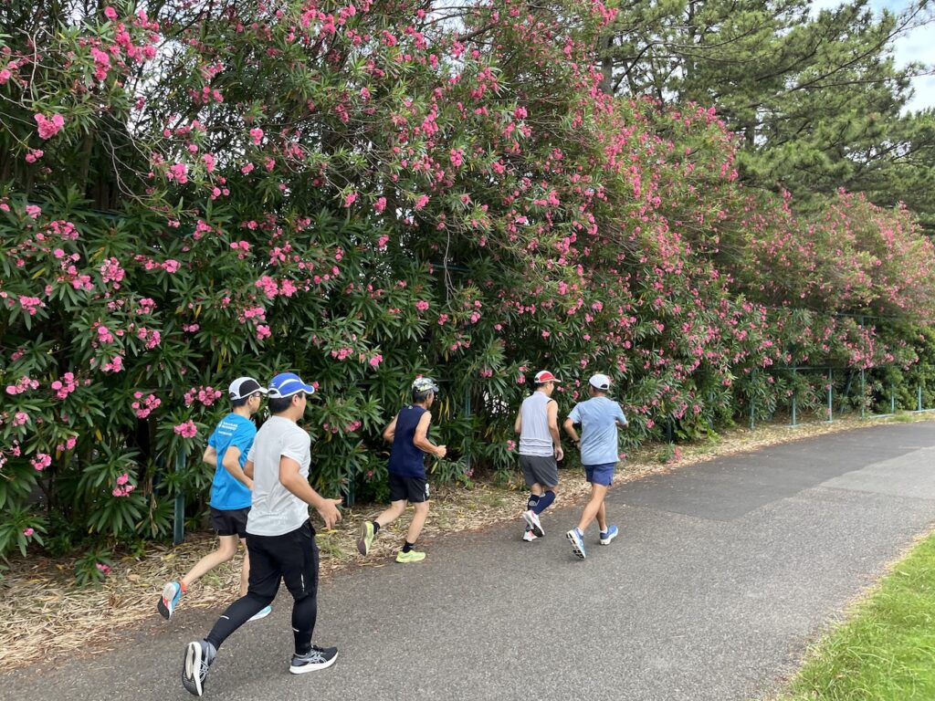 幕張ベイ・ランニングクラブ　稲毛ヨットハーバー〜稲毛海浜公園5~10kmランニング練習会