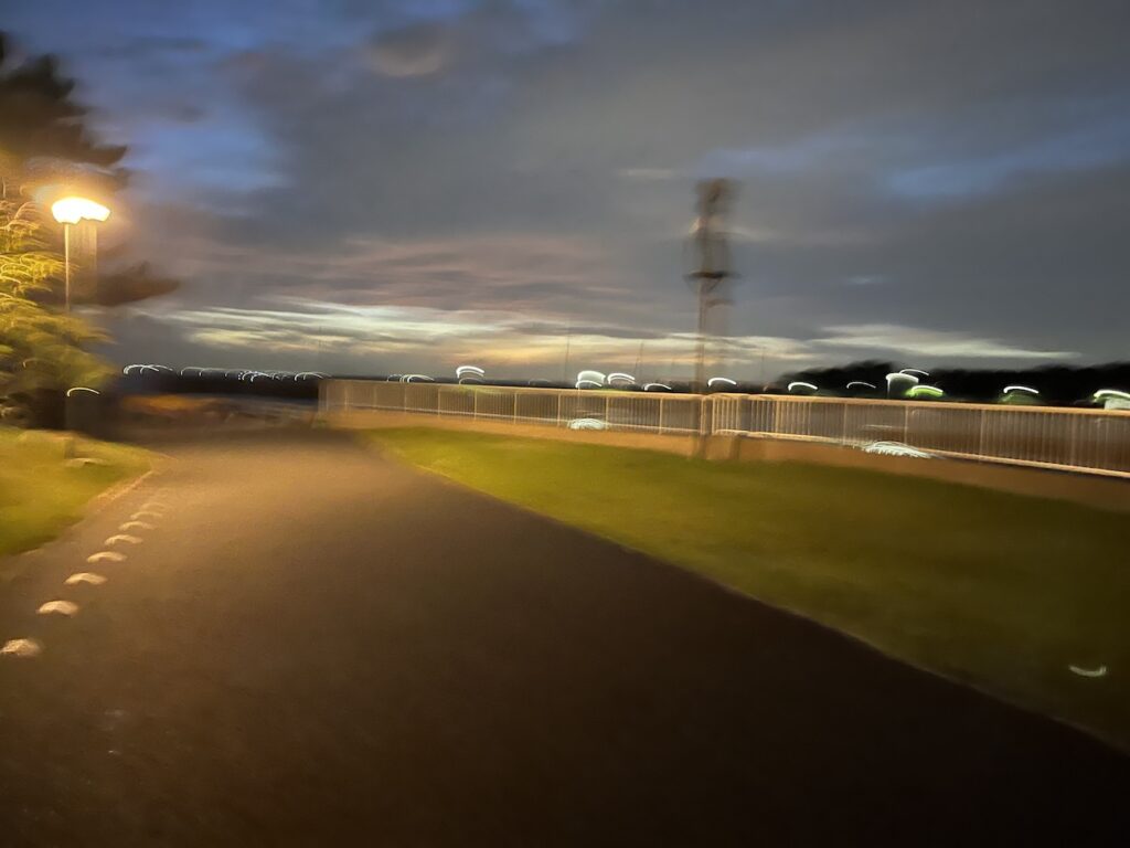 検見川浜駅〜稲毛の桟橋往復10kmランニング練習会【幕張ベイ・ランニングクラブ】