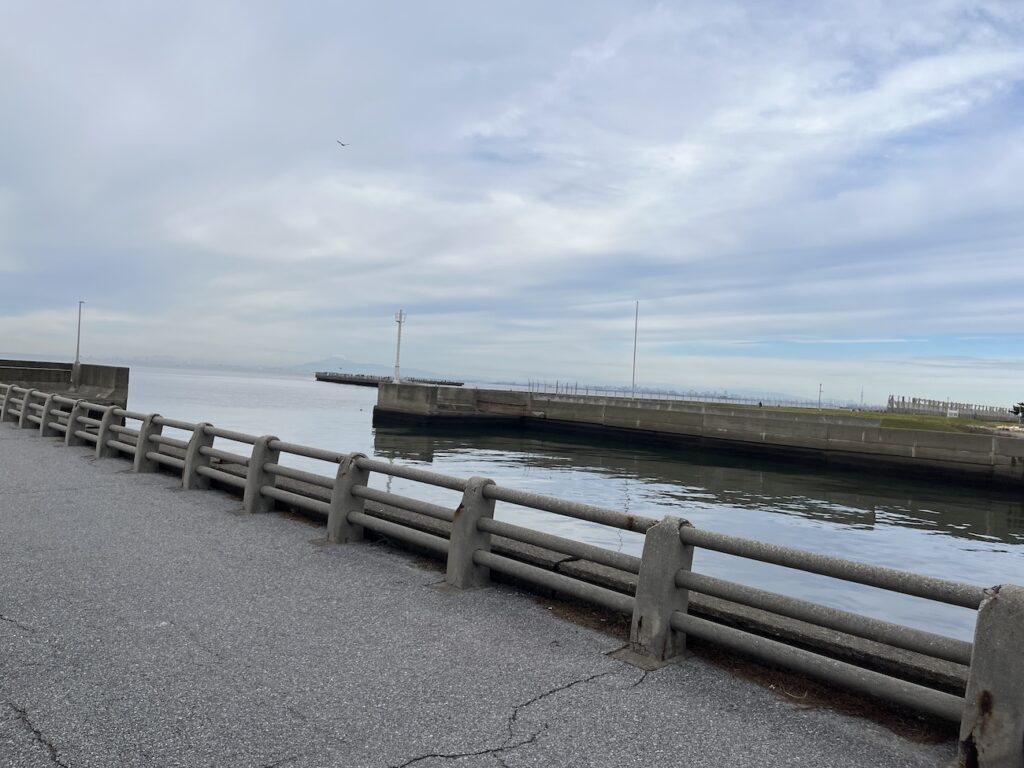 幕張ベイ・ランニングクラブ　稲毛ヨットハーバー〜稲毛海浜公園5~20kmランニング練習会